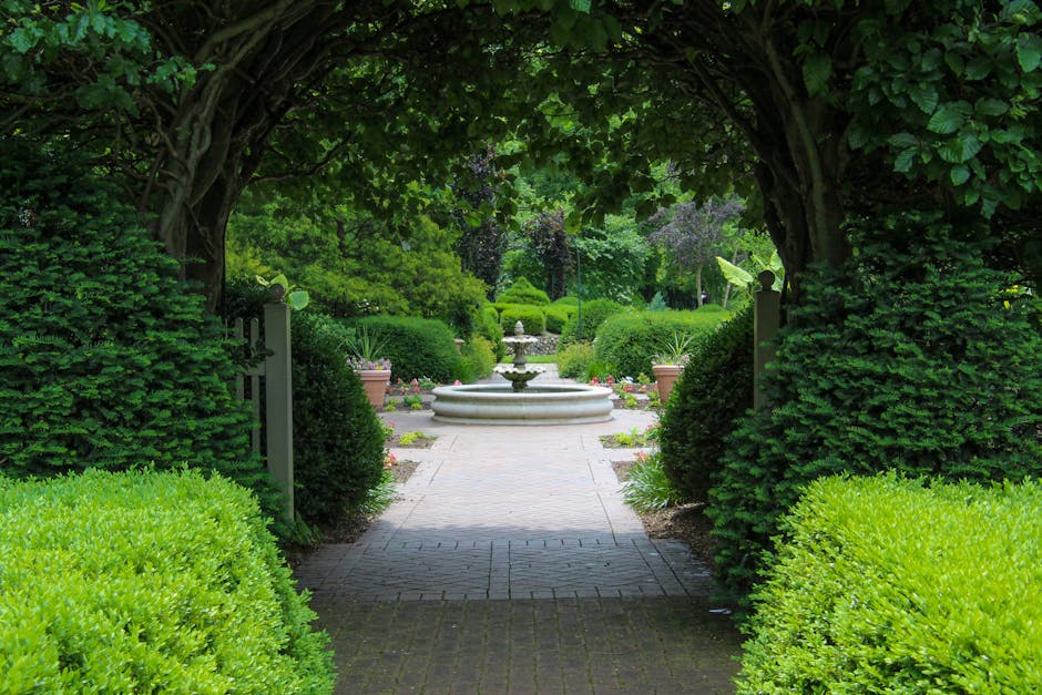 Serene garden scene featuring a pathway leading to a fountain under a lush natural arch.