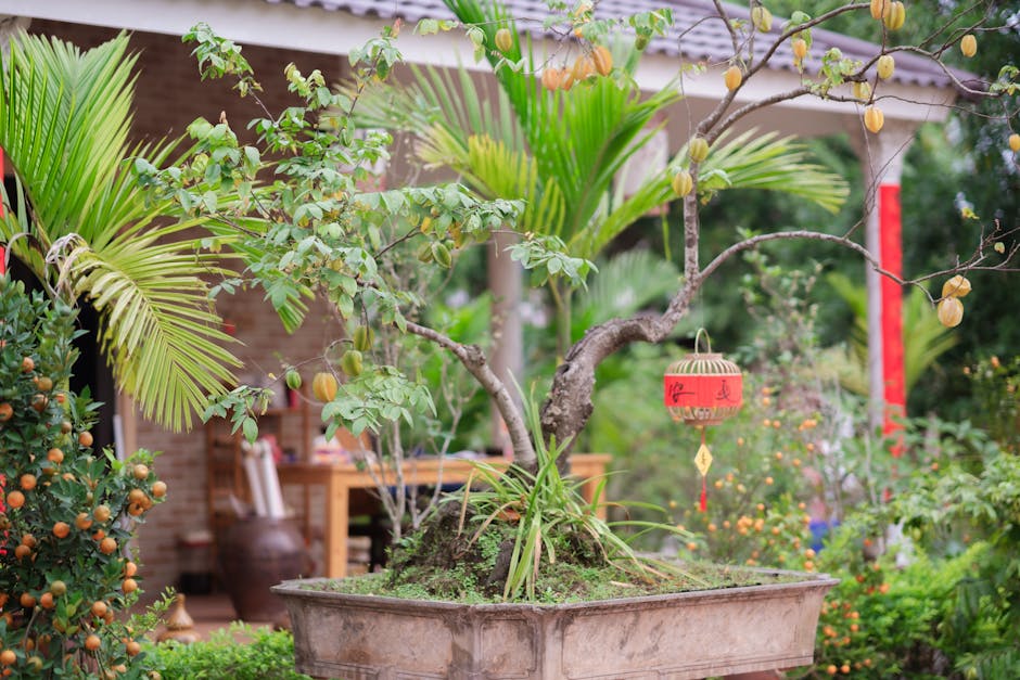 A serene garden scene with lush greenery, a bonsai tree, and a decorative lantern.